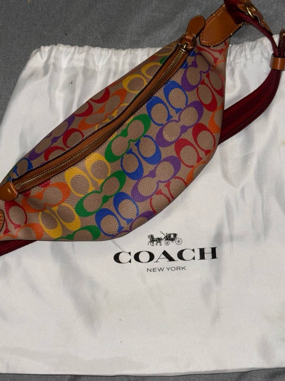 Coach Warren Rainbow Signature Belt Bag